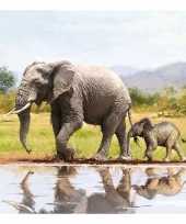 40x olifanten dieren thema servetten 33 x 33 cm
